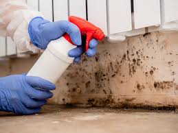 Forensic Mold Investigation in Florence, MS